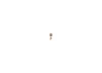 BOSCH Glhlampe, Kennzeichenleuchte "Pure Light WS", Art.-Nr. 1 987 302 211