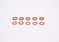 BOSCH Dichtring, D�senhalter, Art.-Nr. F 00V C17 504