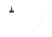 BOSCH Radsensor, Reifendruck-Kontrollsystem, Art.-Nr. F 026 C00 467