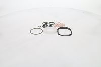 BOSCH Dichtungssatz, Einspritzpumpe, Art.-Nr. 2 467 010 003