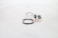 BOSCH Dichtungssatz, Einspritzpumpe, Art.-Nr. 2 467 010 003
