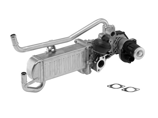 BORGWARNER AGR-Modul 710863d1 für VW