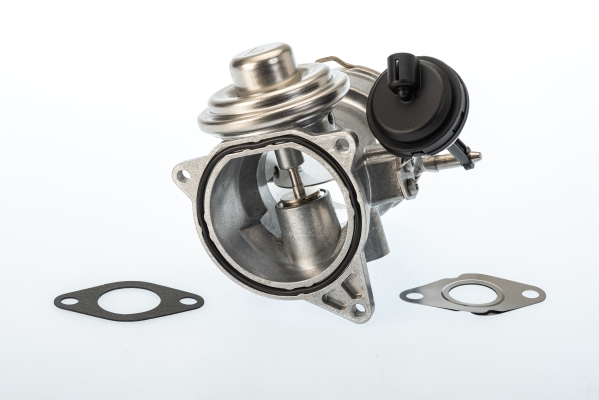 BORGWARNER AGR-Ventil 7650d für VW