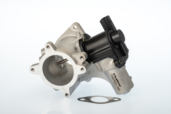BORGWARNER AGR-Ventil 710575d für VW