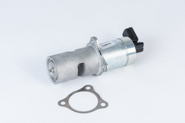 BORGWARNER AGR-Ventil 710951r für GM Volvo DACIA MITSUBISHI RENAULT