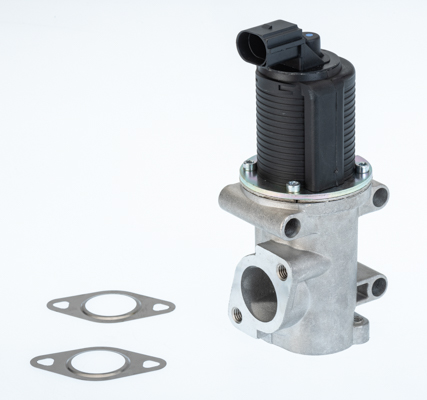 BORGWARNER AGR-Ventil 710770d für Opel Vaughall Fiat Suzuki