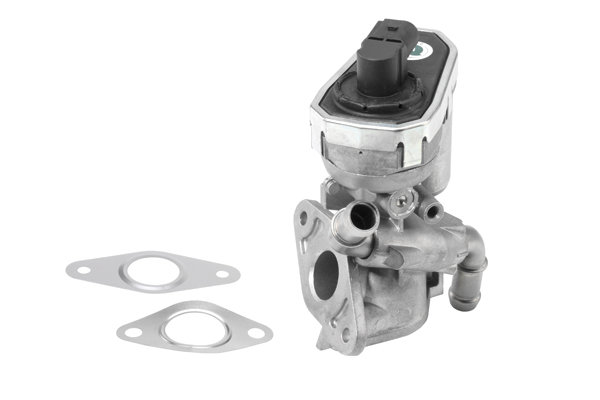 BORGWARNER AGR-Ventil 710941r für Ford