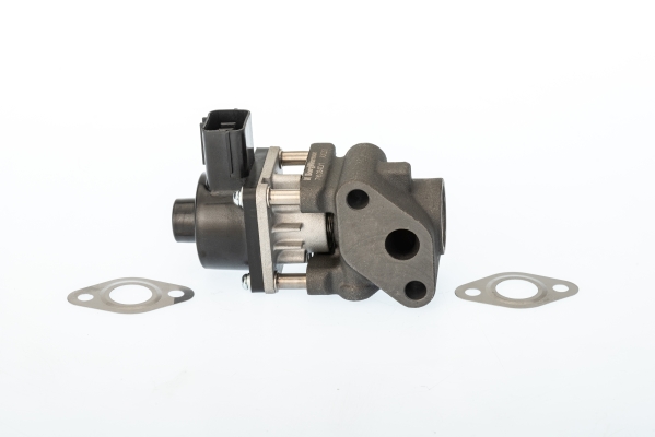 BORGWARNER AGR-Ventil 711024d für Fiat Suzuki
