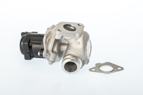 BORGWARNER AGR-Ventil 711021d für Citroën/Peugeot Ford Volvo MAZDA Suzuki MINI