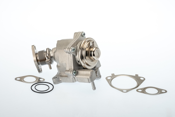 BORGWARNER AGR-Ventil 7631d für Peugeot Iveco