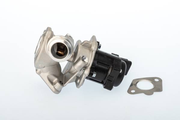 BORGWARNER AGR-Ventil 711020d für Peugeot Ford Volvo MINI Fiat MAZDA Suzuki