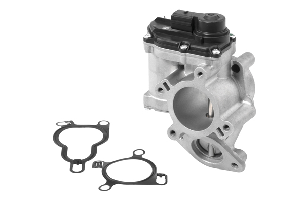 BORGWARNER AGR-Ventil 710939r für RENAULT NISSAN