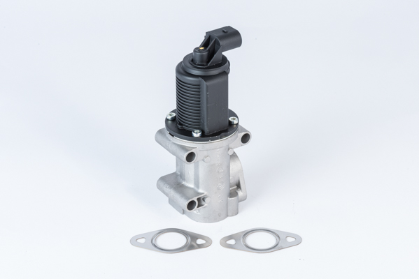 BORGWARNER AGR-Ventil 710952r für GM ALFA ROMEO Fiat