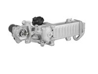 borgwarner AGR-Modul, Art.-Nr. 710861D/1