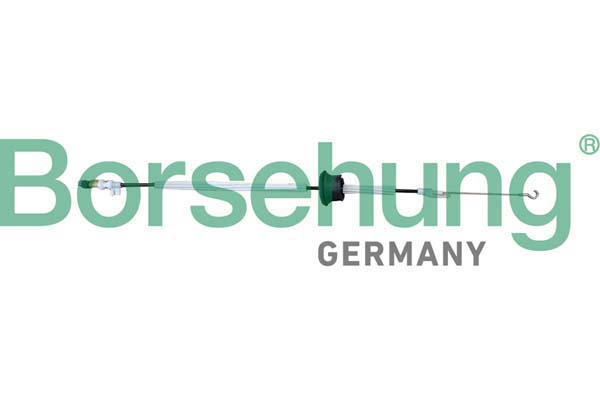 BORSEHUNG Seilzug, Türentriegelung b10788 hinten für VAG