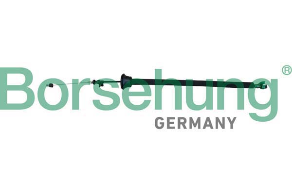 BORSEHUNG Seilzug, Türentriegelung b10790 hinten für VAG
