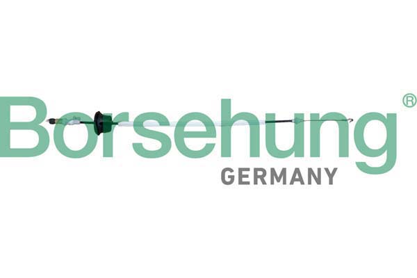 BORSEHUNG Seilzug, Türentriegelung b10792 vorne für VAG