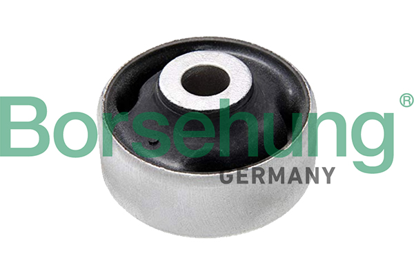 BORSEHUNG Lagerung, Lenker b19147 hinten für VAG
