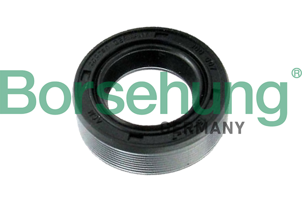 BORSEHUNG Wellendichtring, Differential b17837 mitte für VAG