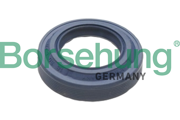 BORSEHUNG Wellendichtring, Differential b17828 mitte für VAG