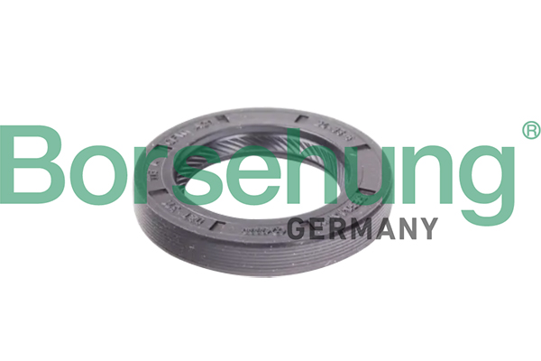 BORSEHUNG Wellendichtring, Schaltgetriebe b12191 für VAG