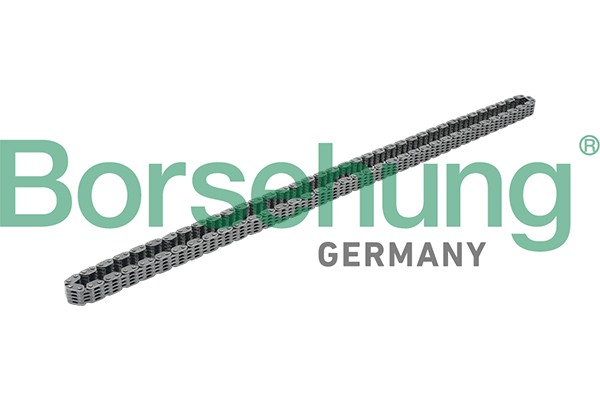 BORSEHUNG Steuerkette b17876 für VW