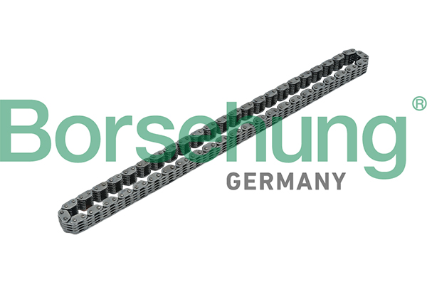 BORSEHUNG Steuerkette b17885 für VAG