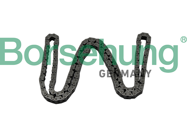 BORSEHUNG Steuerkette b17886 für VAG