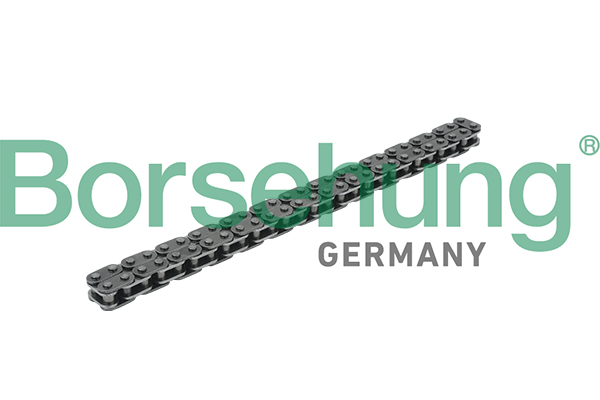 BORSEHUNG Steuerkette b18228 für VW