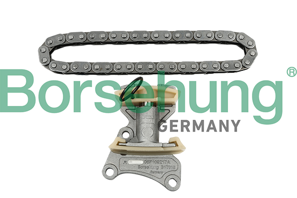 BORSEHUNG Steuerkettensatz b18847 für VAG