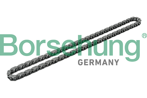 BORSEHUNG Steuerkette b1c017 für VW