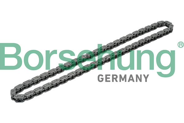 BORSEHUNG Steuerkette b1c020 für VAG