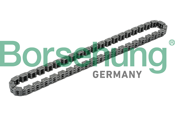 BORSEHUNG Steuerkette b1c015 für VAG
