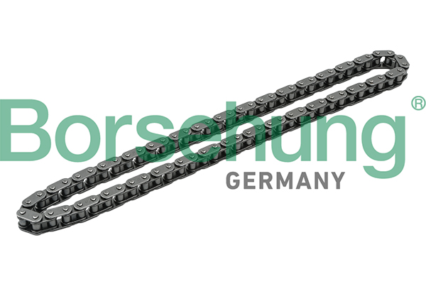 BORSEHUNG Steuerkette b1c018 für VAG