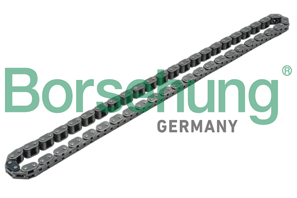BORSEHUNG Steuerkette b1c001 für VAG
