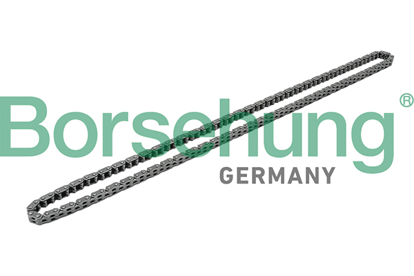 BORSEHUNG Steuerkette b1c019 für VAG