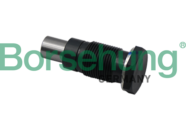 BORSEHUNG Steuerkettensatz b19308 für VAG
