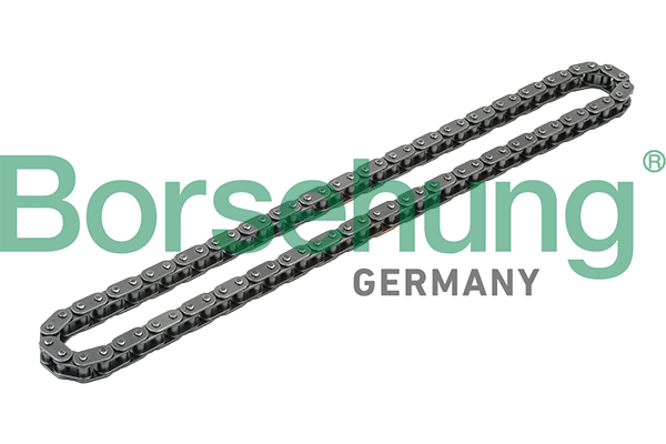 BORSEHUNG Steuerkette b1c012 für VAG