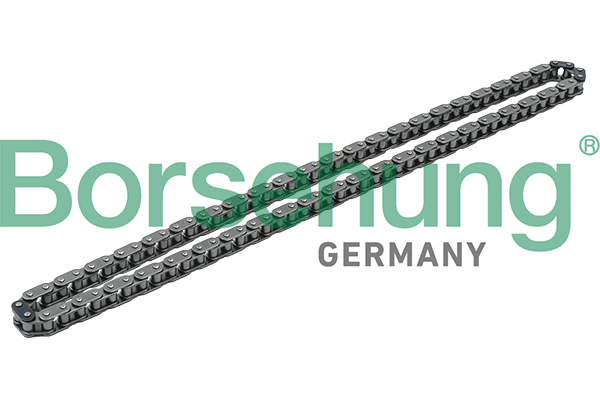 BORSEHUNG Steuerkette b1c009 für VAG