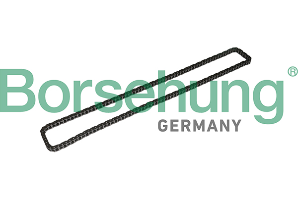 BORSEHUNG Steuerkette b1c024 für BMW