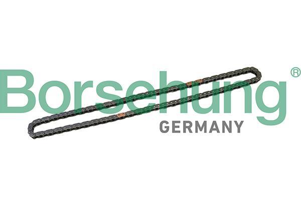BORSEHUNG Steuerkette b1c025 für BMW