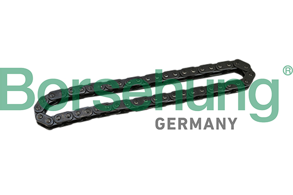 BORSEHUNG Steuerkette b1c028 für BMW