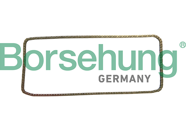 BORSEHUNG Steuerkette b1c029 für BMW