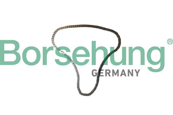BORSEHUNG Steuerkette b12766 für VW