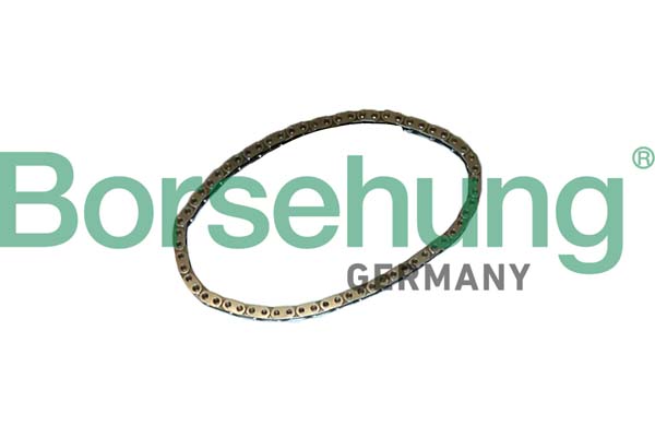 BORSEHUNG Steuerkette b12768 für VAG