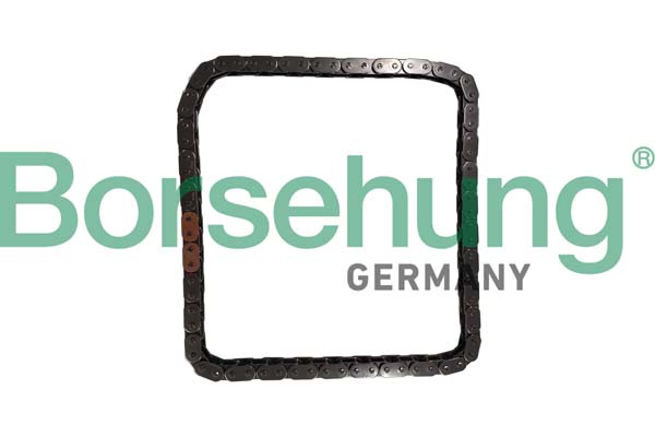 BORSEHUNG Steuerkette b12785 für VW