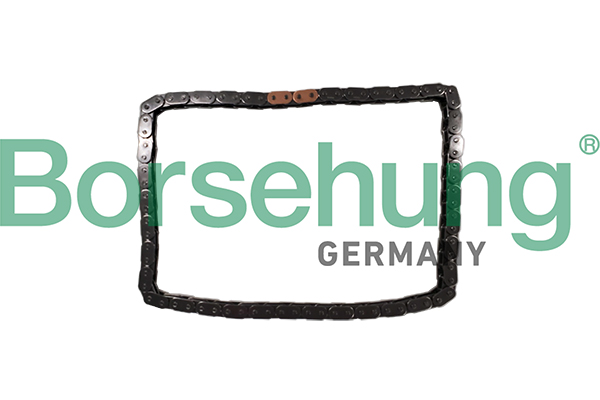 BORSEHUNG Steuerkette b12784 für VAG