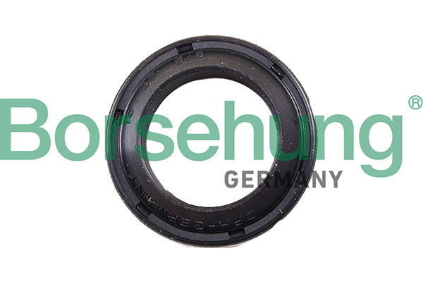BORSEHUNG Wellendichtring, Ausrücklagerwelle b17833 für VAG