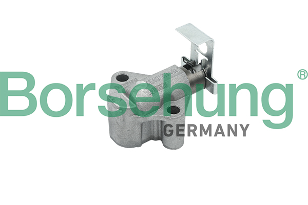 BORSEHUNG Spanner, Steuerkette b18202 für VAG