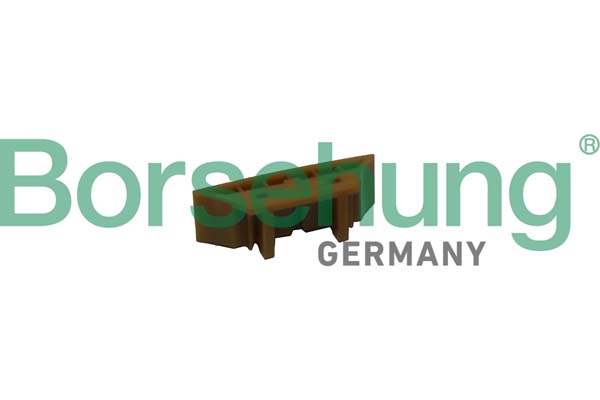 BORSEHUNG Gleitschiene, Steuerkette b1g023 für VAG